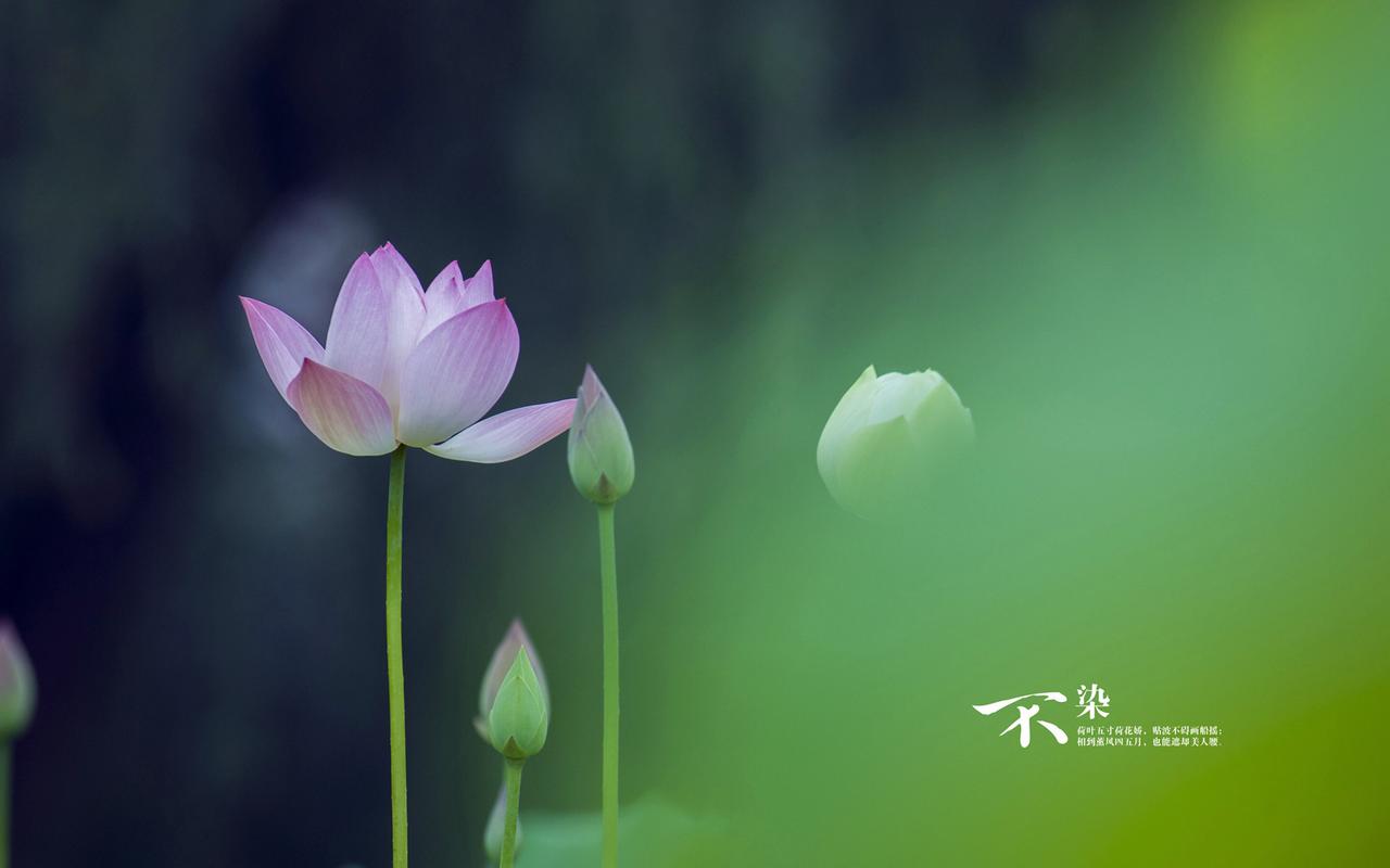 安卓逆向与java